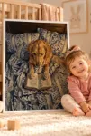 Kitap Okuyan Golden Retriever – Köpek Temalı Çerçeveli Kanvas Tablo | 3:4